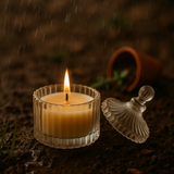 Geeli Mitti Scented Soy Wax Candle | creative view