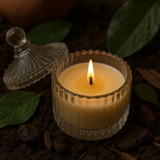 Geeli Mitti Scented Soy Wax Candle | focus view