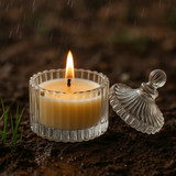 Geeli Mitti Scented Soy Wax Candle | front view