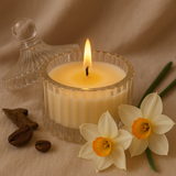 Nargis (Daffodil) Scented Soy Candle | focus view