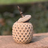 ceramic ginger vase jar | front view