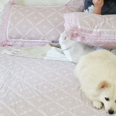 pink lace leaf king size 400TC king size bedsheet | creative view